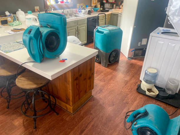 Best Water damage contractors near me  in Oak Grove, SC
