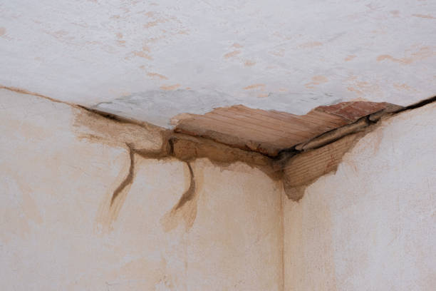 Best Flood damage cleanup  in Oak Grove, SC