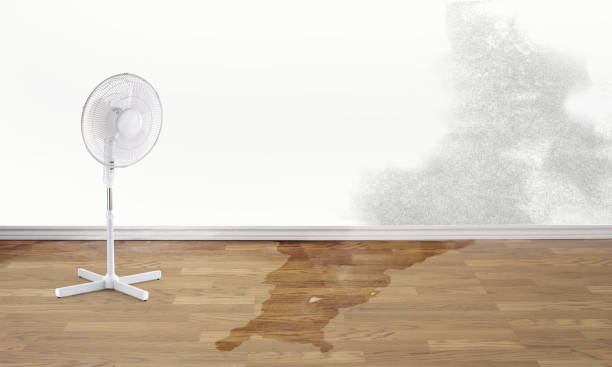 Best Carpet water damage restoration  in Oak Grove, SC