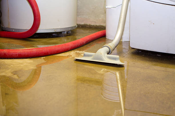 Best Flood restoration services  in Oak Grove, SC