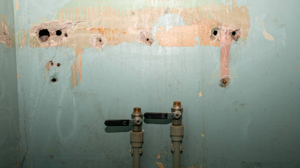 Best Sewage cleanup and water damage restoration  in Oak Grove, SC