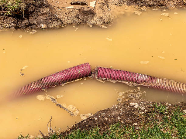 Best Commercial water damage restoration  in Oak Grove, SC