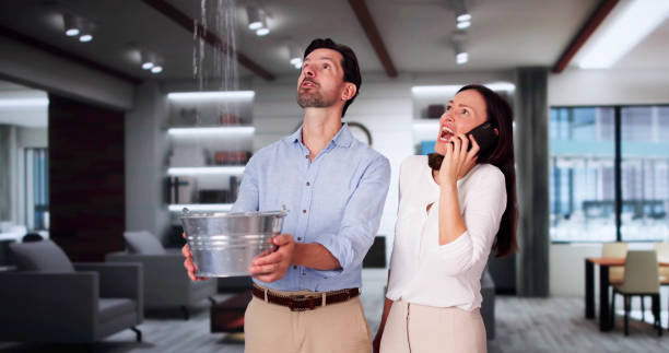 Best Water damage contractors near me  in Oak Grove, SC